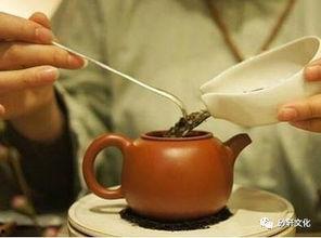 紫砂壶怎么泡茶视频,一壶一世界，一茶一人生