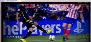 流星直播视频播放器,畅享视听盛宴，尽在指尖流转